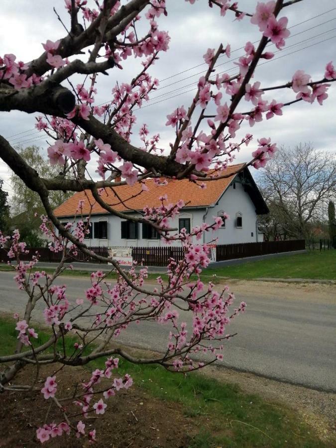 Szentgyoergyvoelgy Vendeghaz Orseg Hotel Szentgyorgyvolgy Buitenkant foto